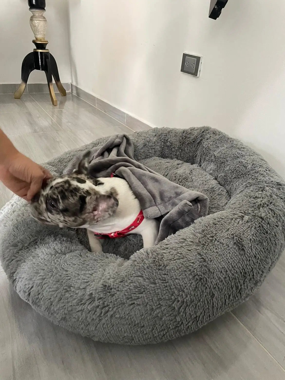 Cama Antiestrés Furbeds-Dale a tu peludo el descanso deluxe que se merece