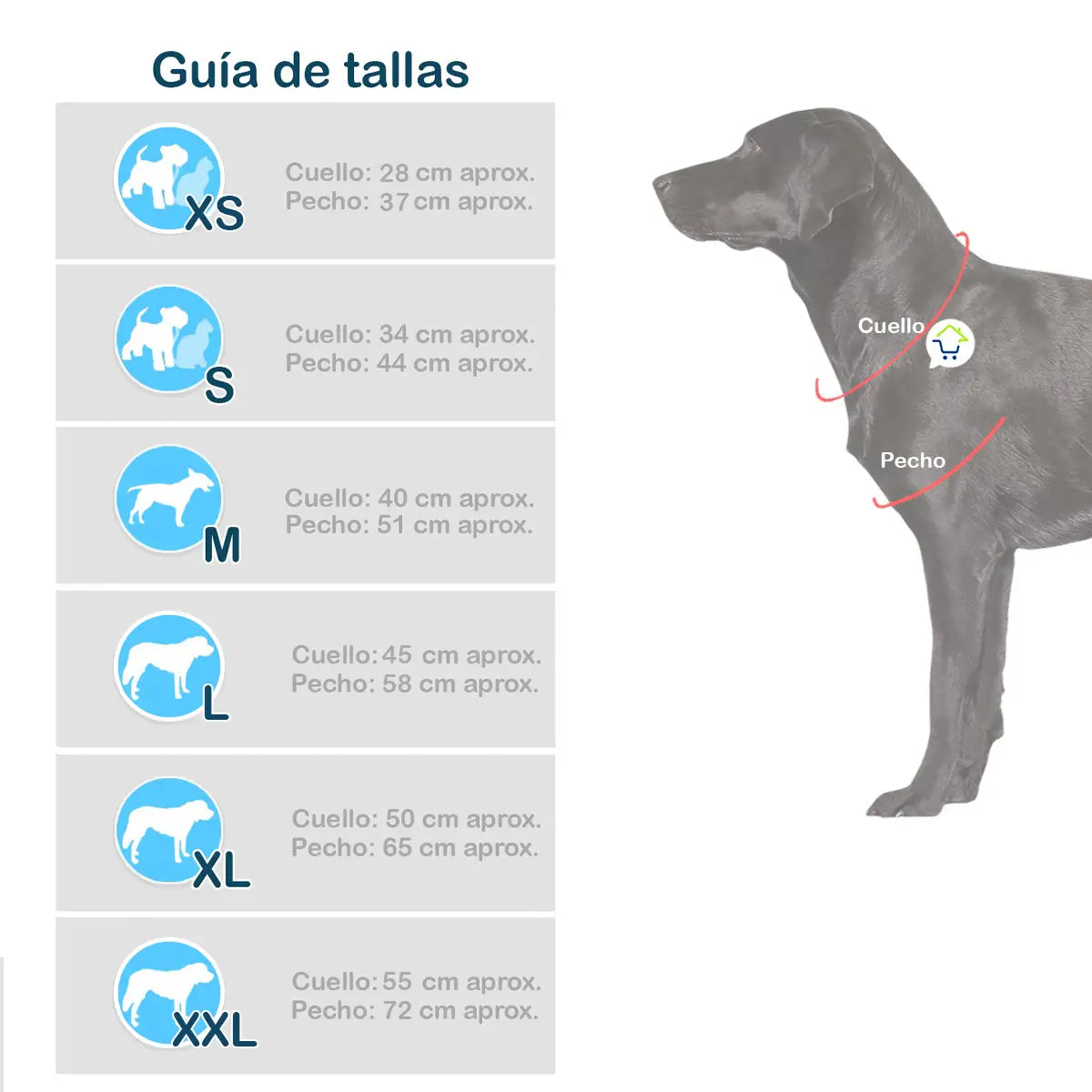 ¡Convierte a tu mejor amigo en la sensación de Halloween con el disfraz de Chucky!