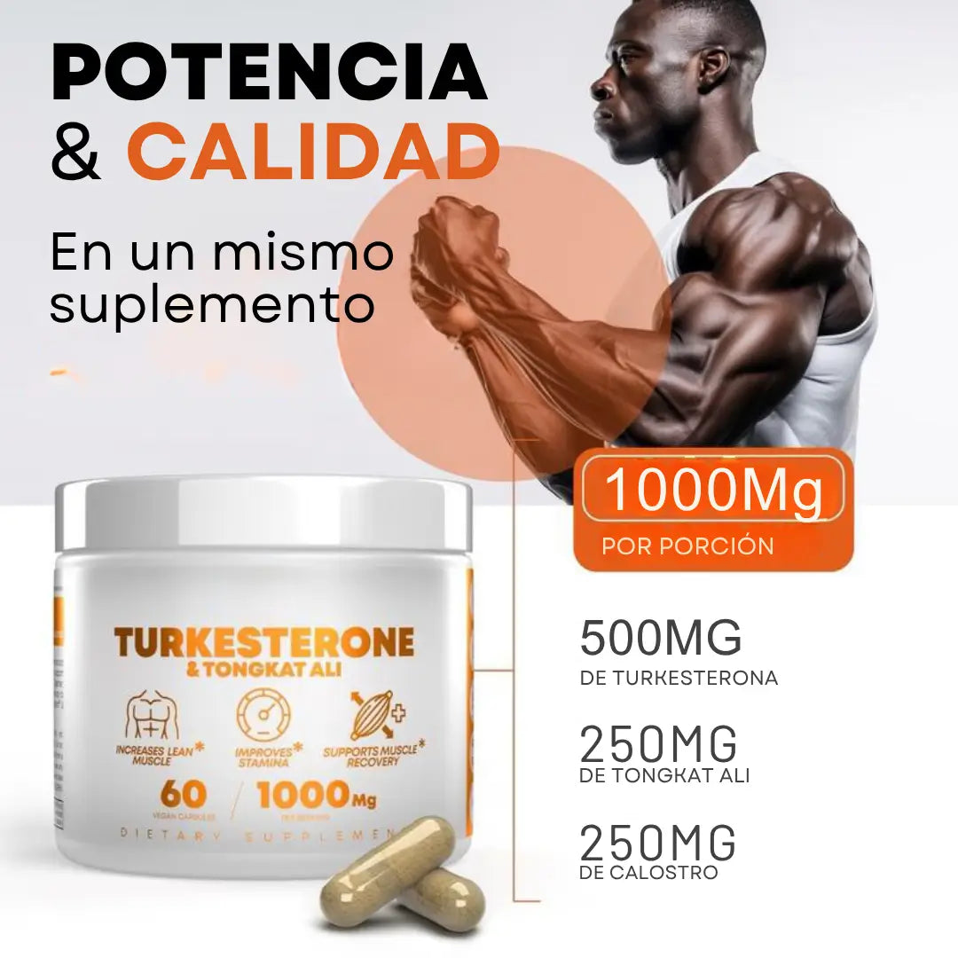 Encabezado