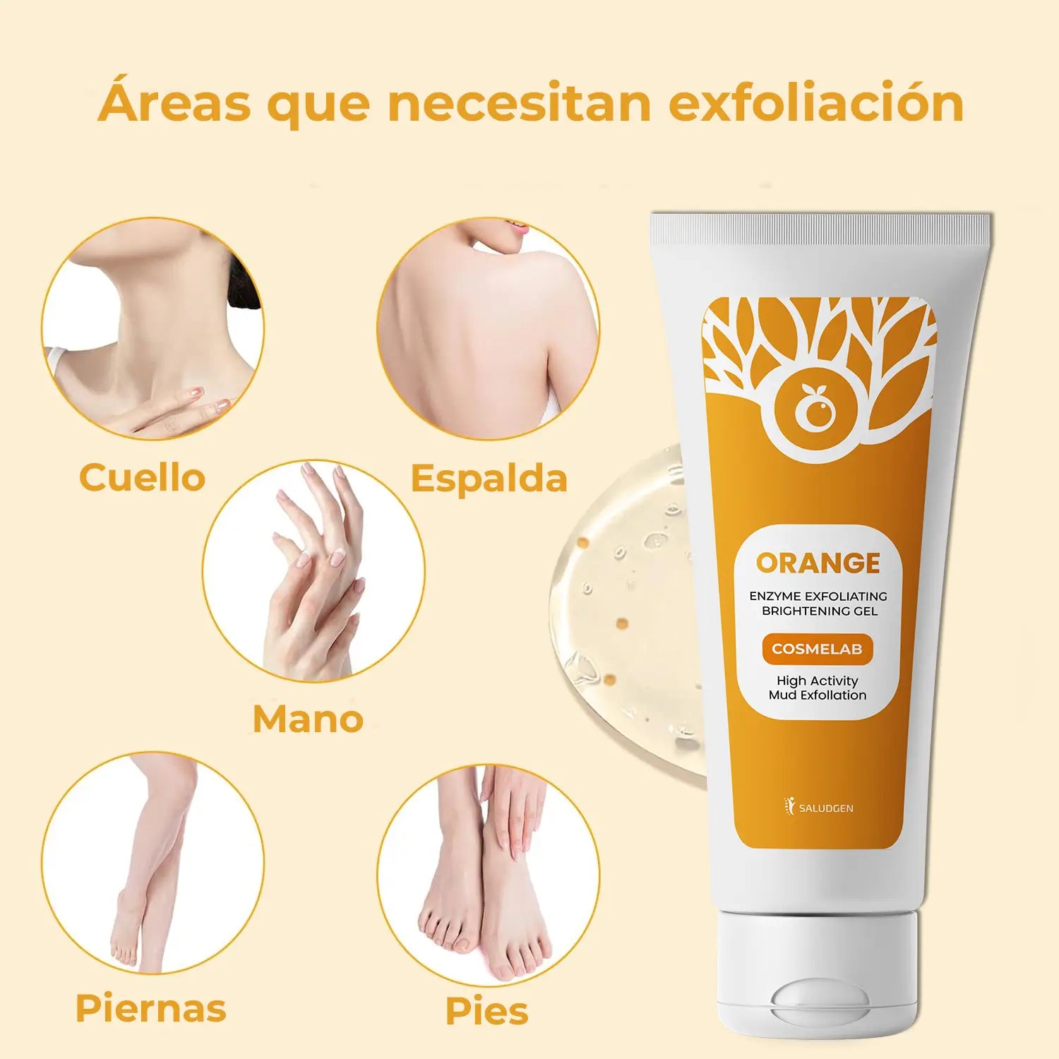 Encabezado