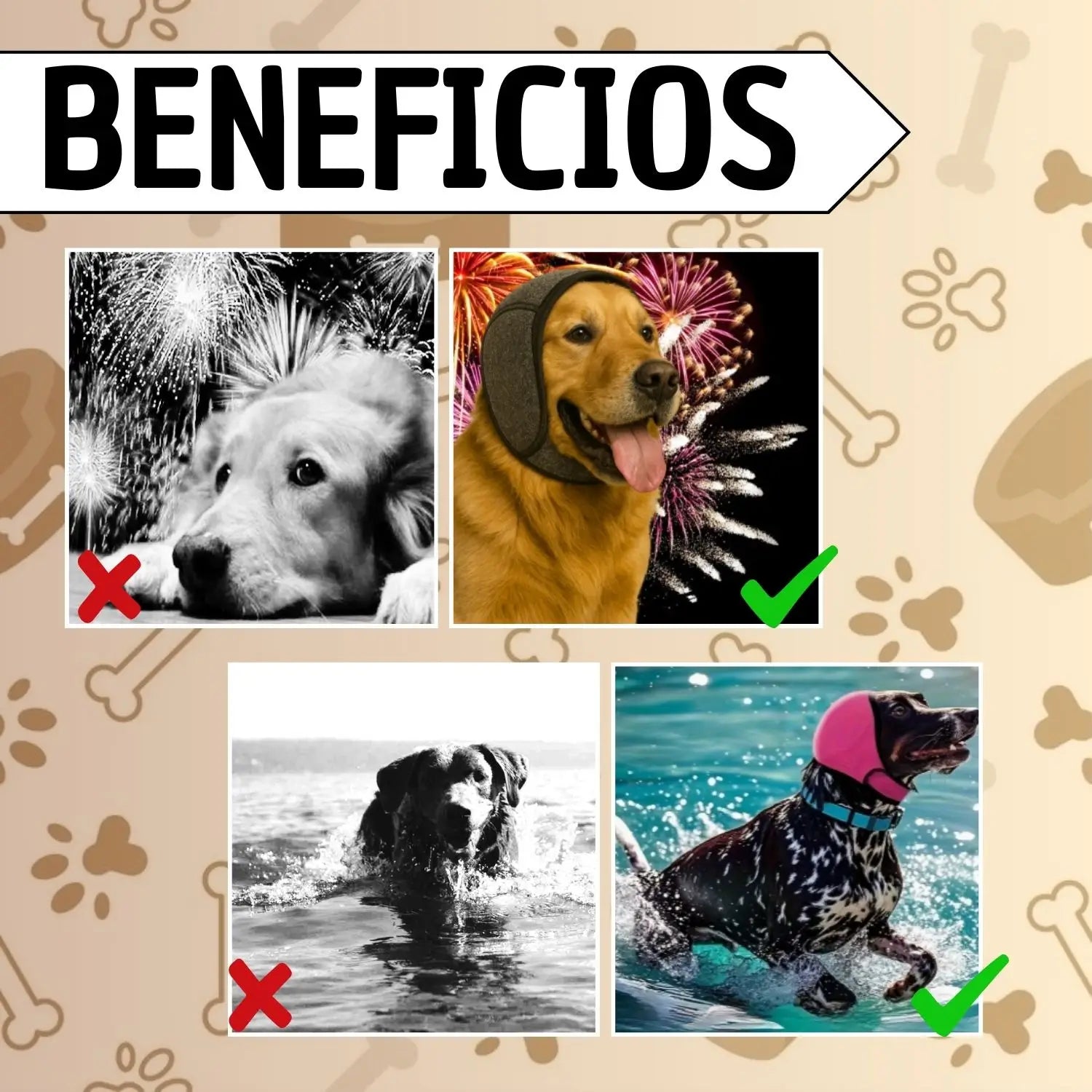 Encabezado