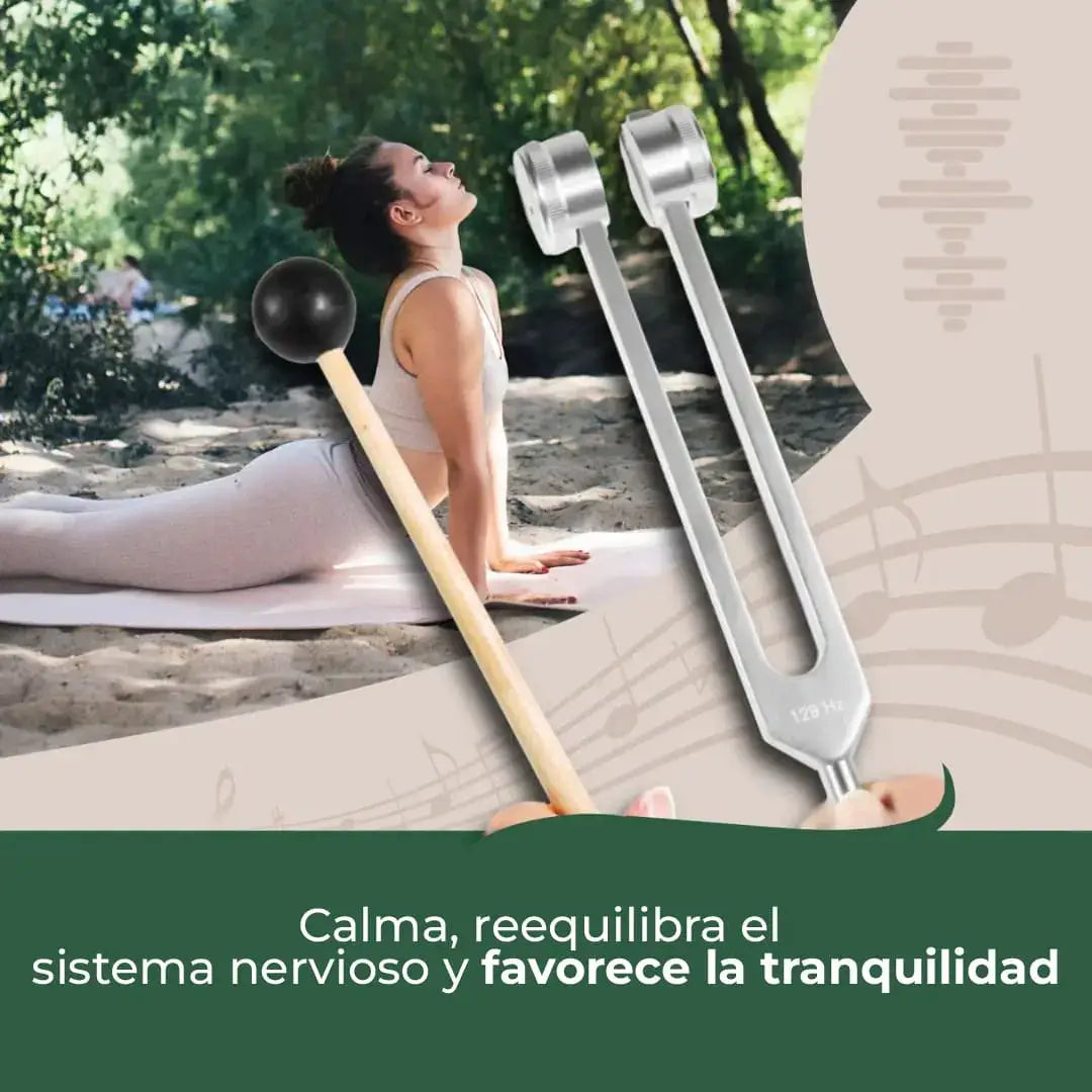 Encabezado