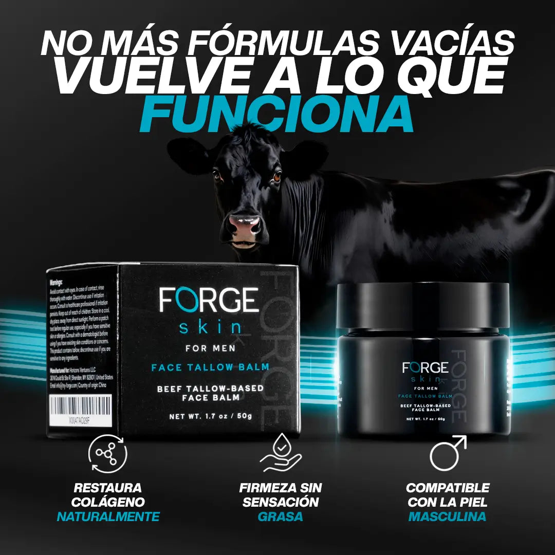 Encabezado