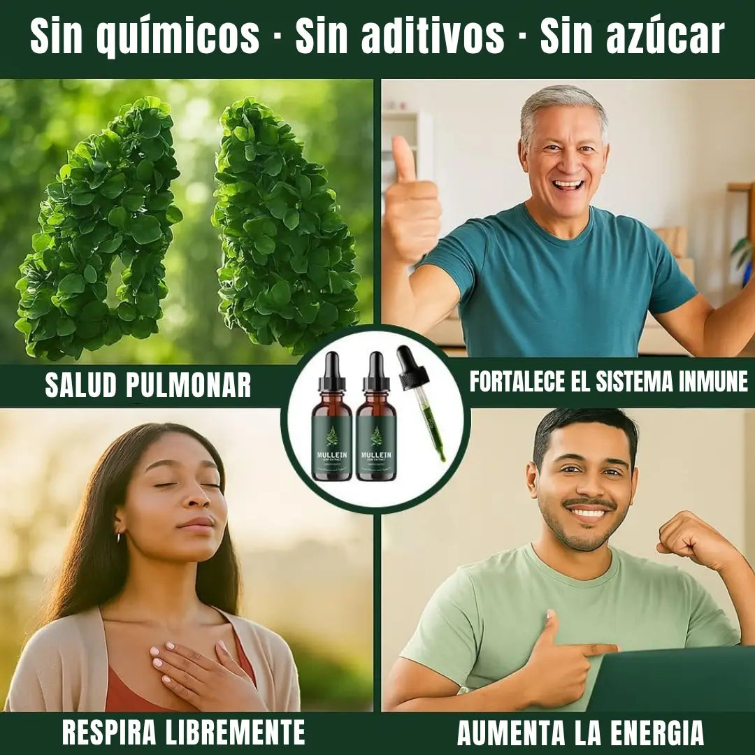 Encabezado