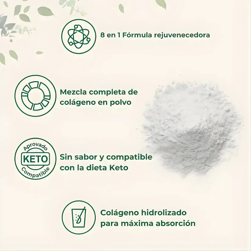 Encabezado