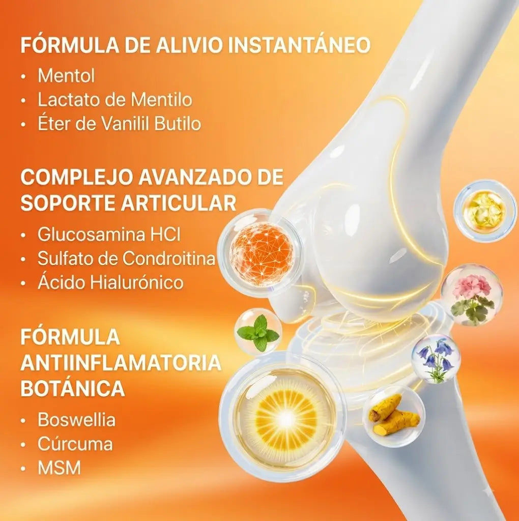 Encabezado