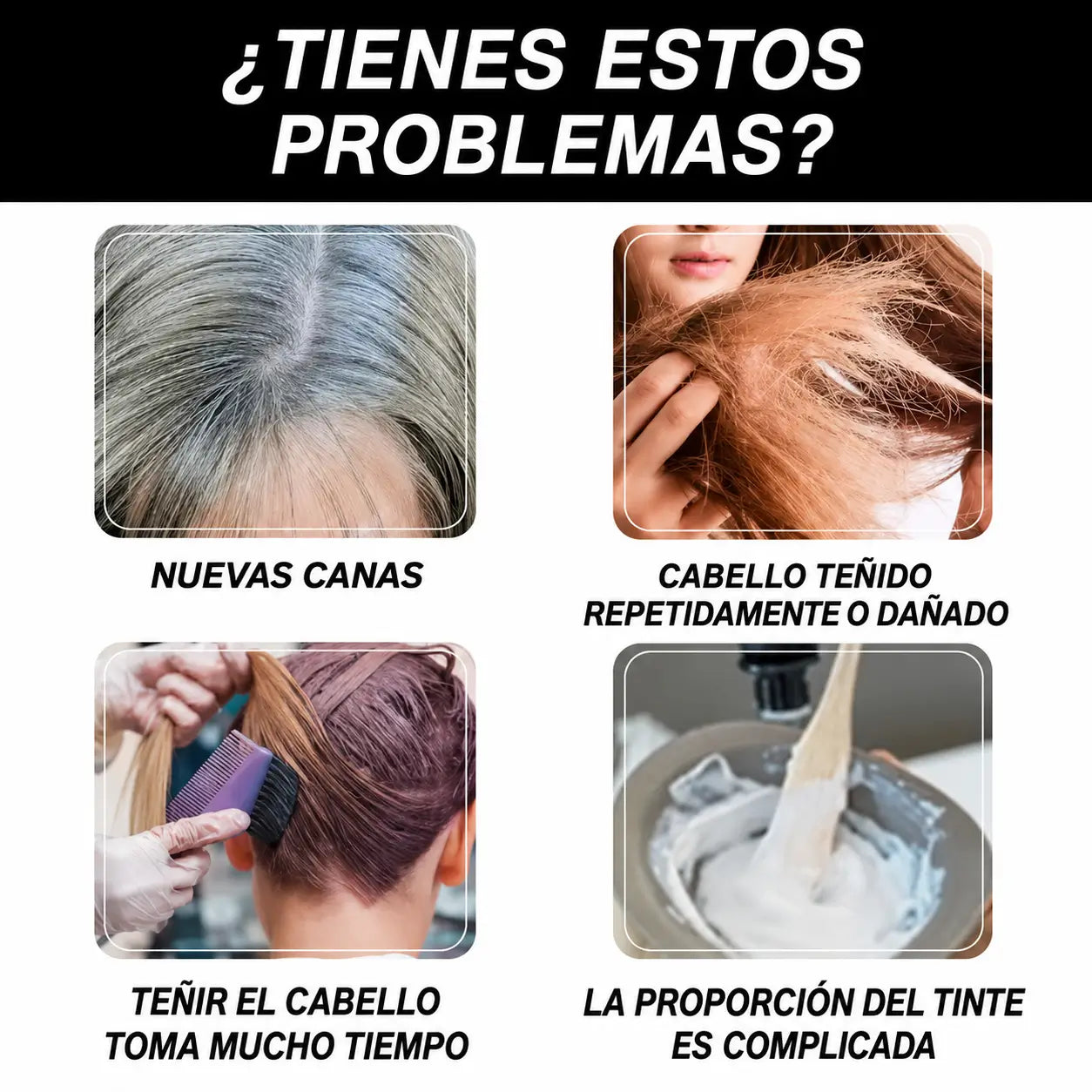 Encabezado