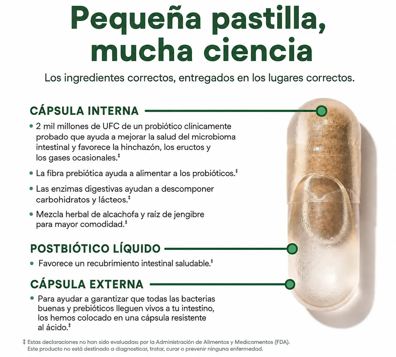 Encabezado