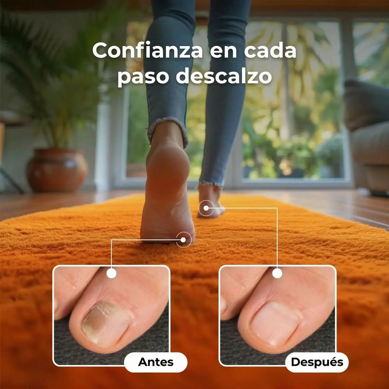 Encabezado