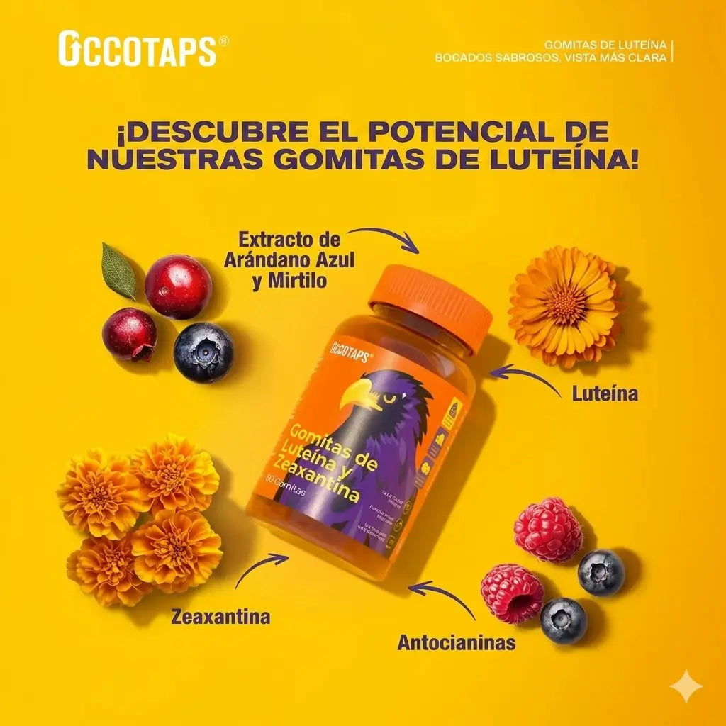 Encabezado