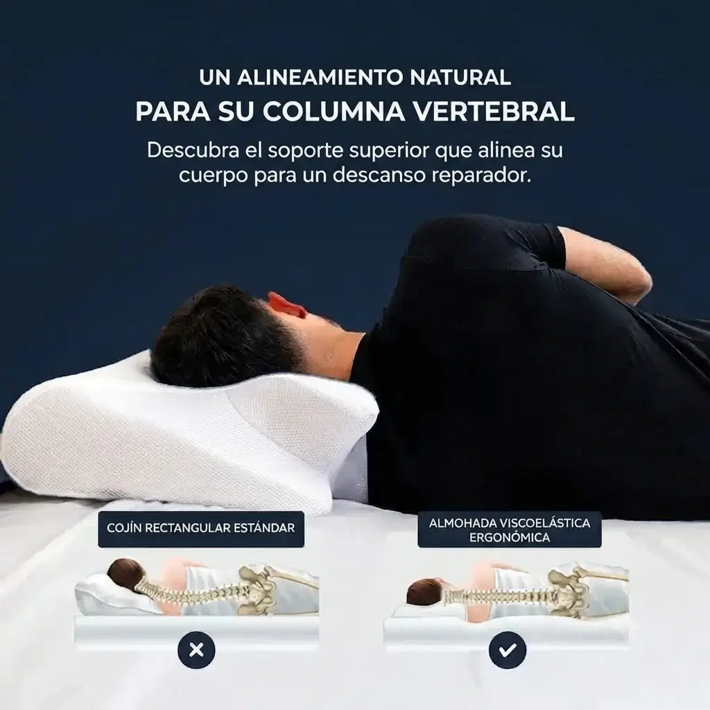 Encabezado