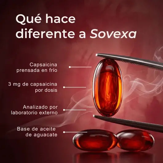 Encabezado
