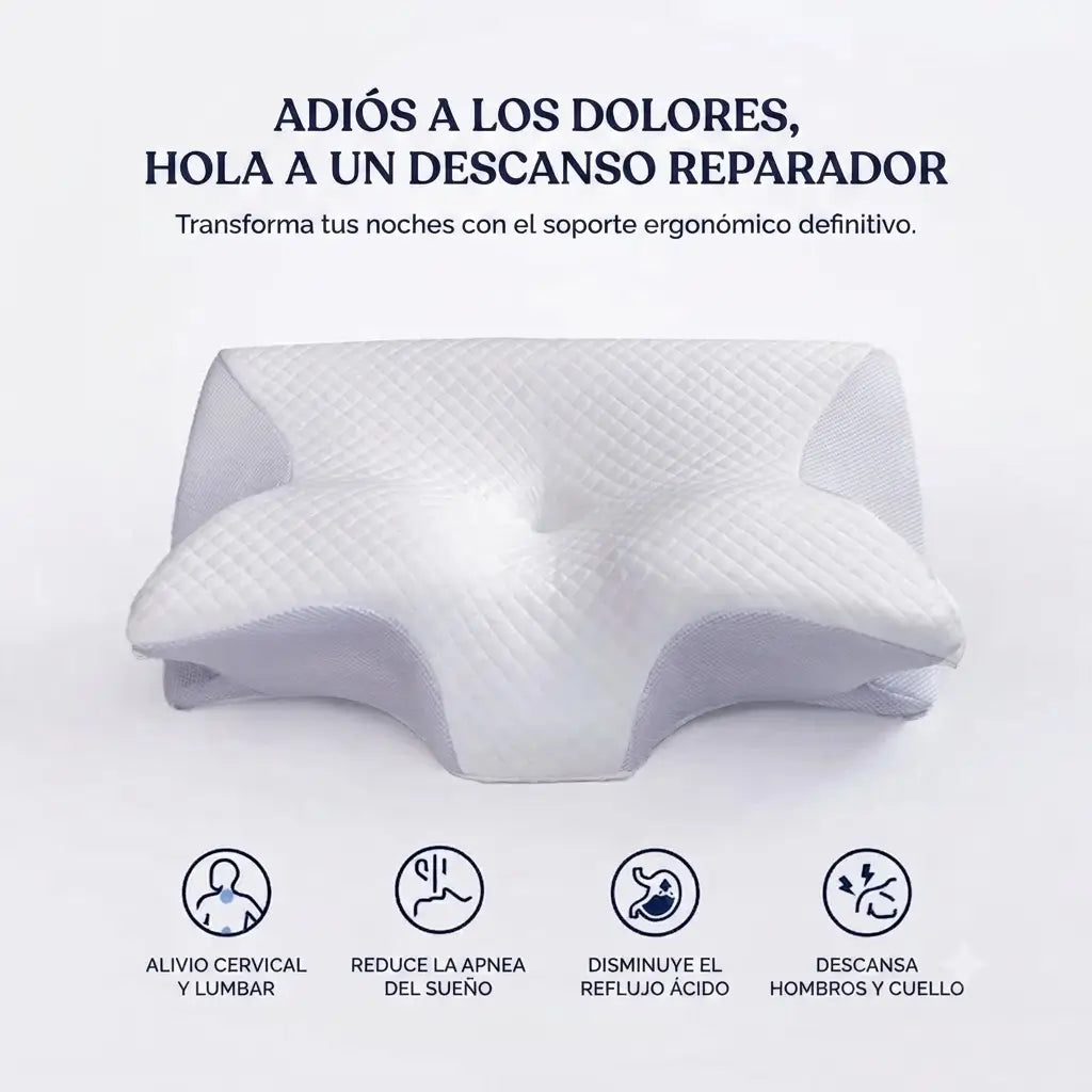 Encabezado