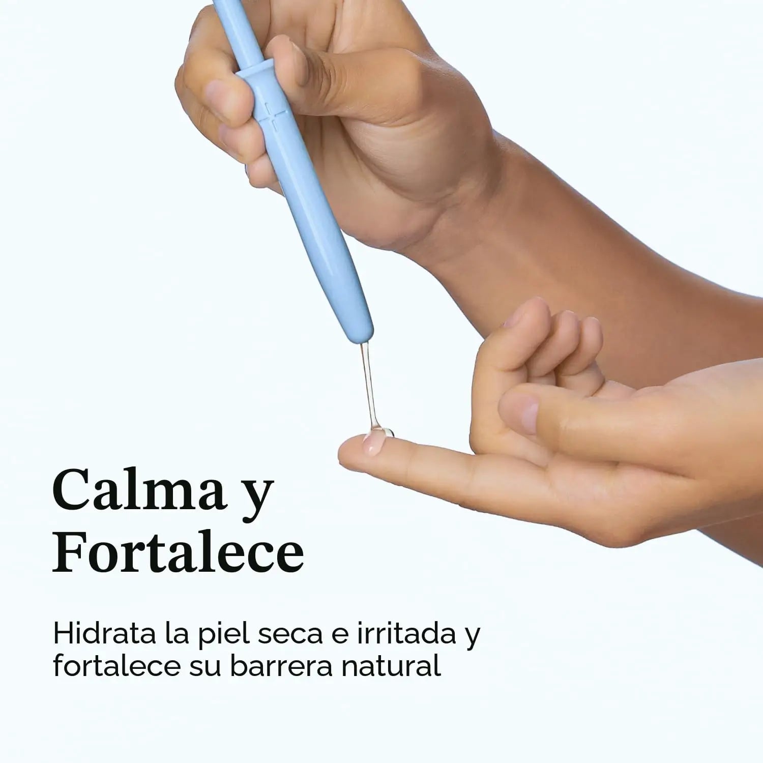 Encabezado