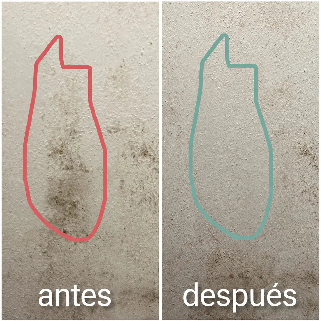 Encabezado