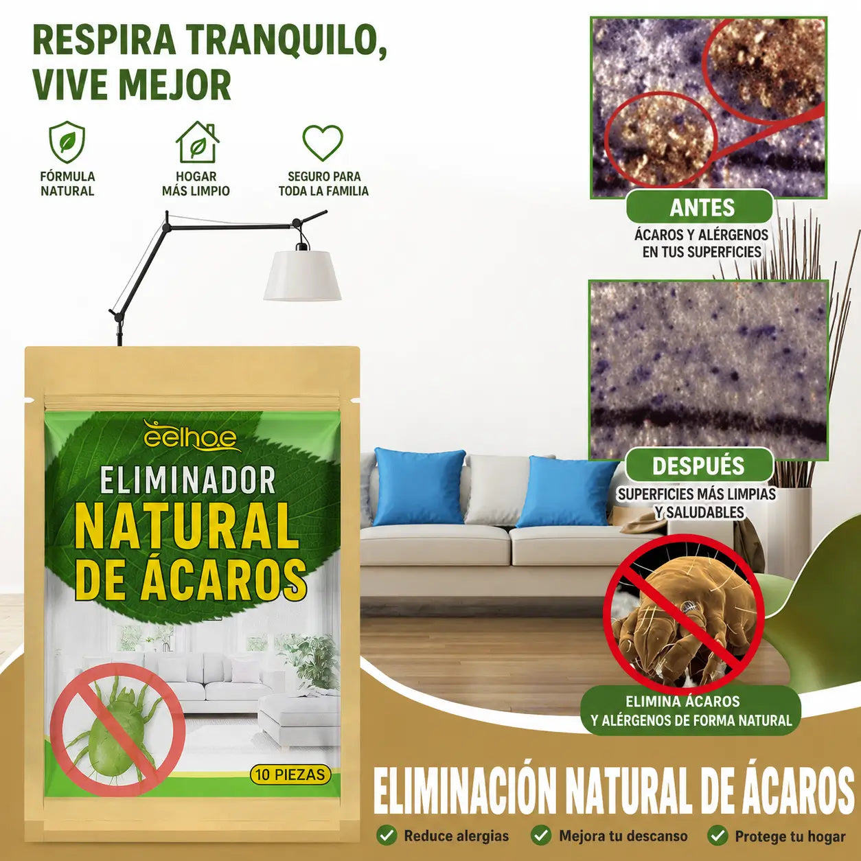 Encabezado