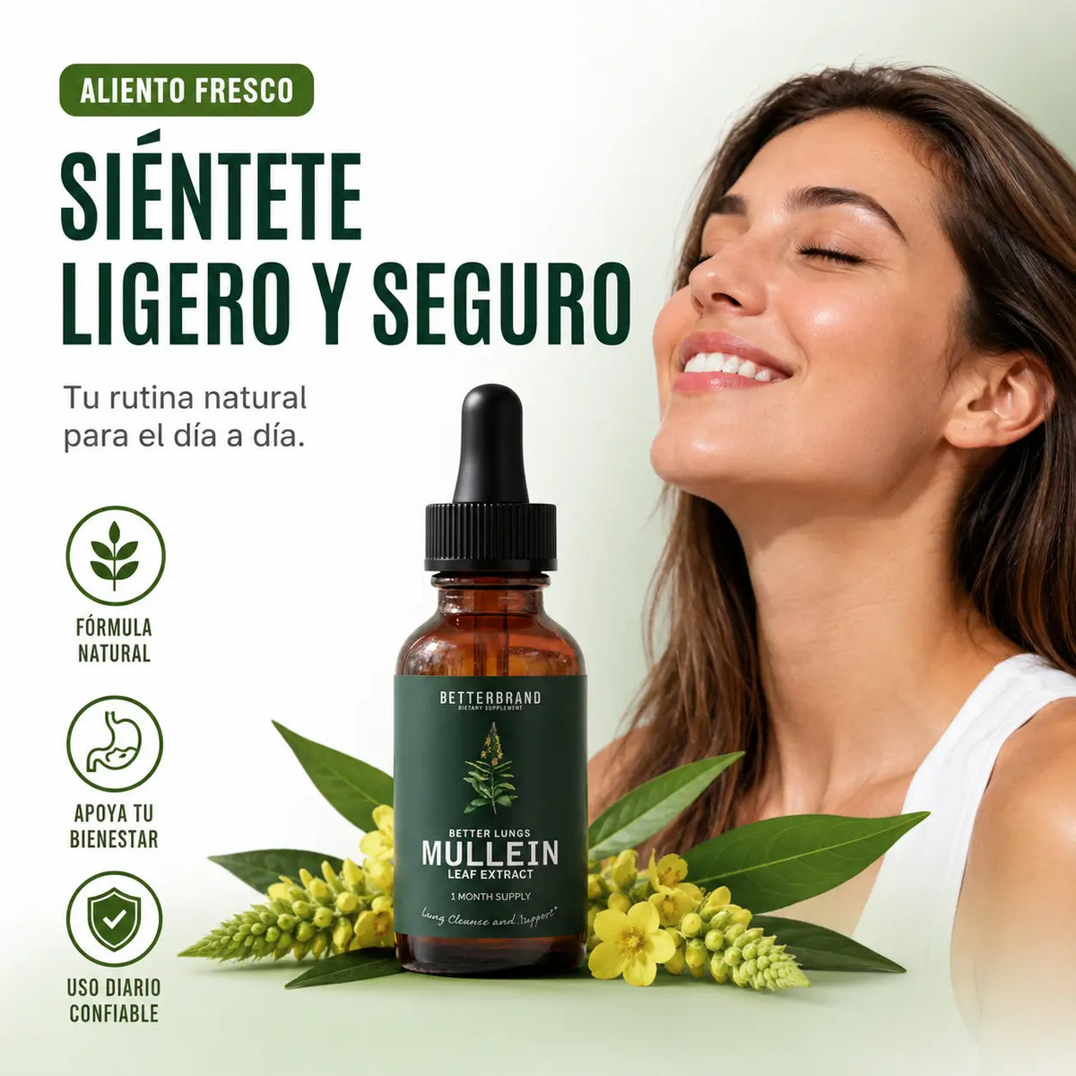 Mullein Gotas de Gordolobo y Clorofila 🌿 Bienestar Respiratorio