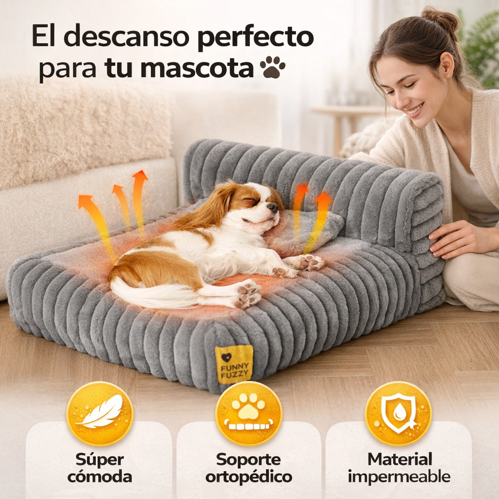 Tu perro no descansa como merece… y tú lo sabes