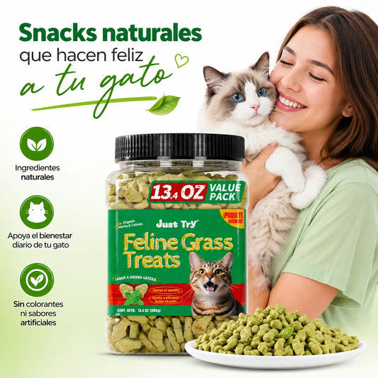 🐱 Snacks de Hierba Gatera — Control de Bolas de Pelo