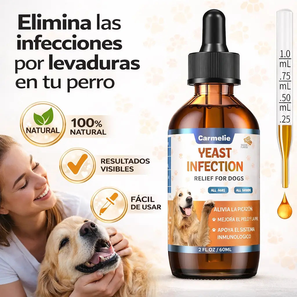 Yeast Infection Relief For Dogs