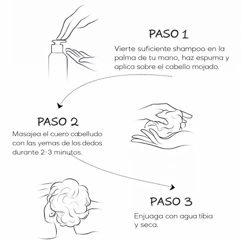 Encabezado