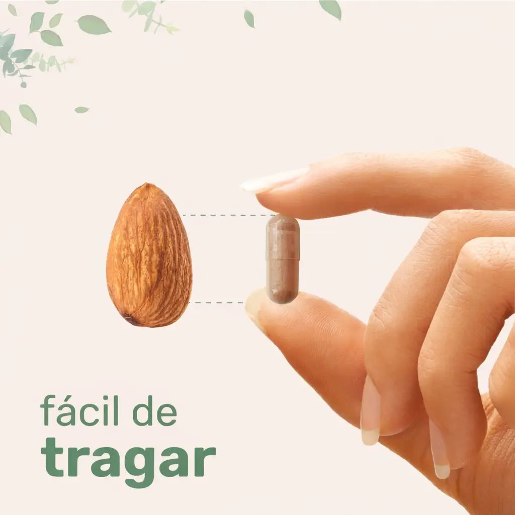 Encabezado