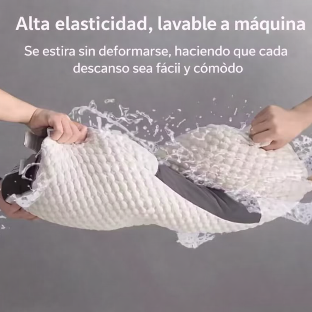 Encabezado