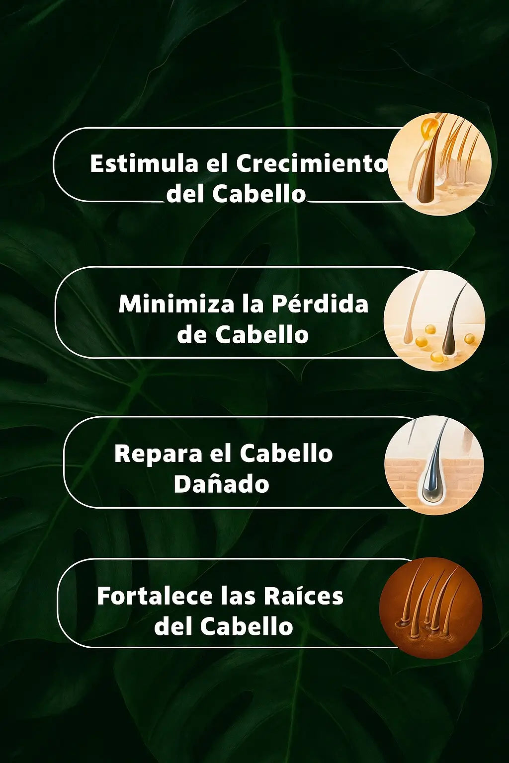 BATANA OIL™ + Romero: Nutre, fortalece y revive tu cabello desde la raíz