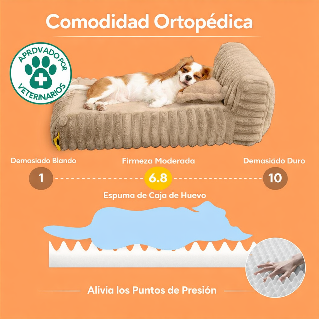 Tu perro no descansa como merece… y tú lo sabes