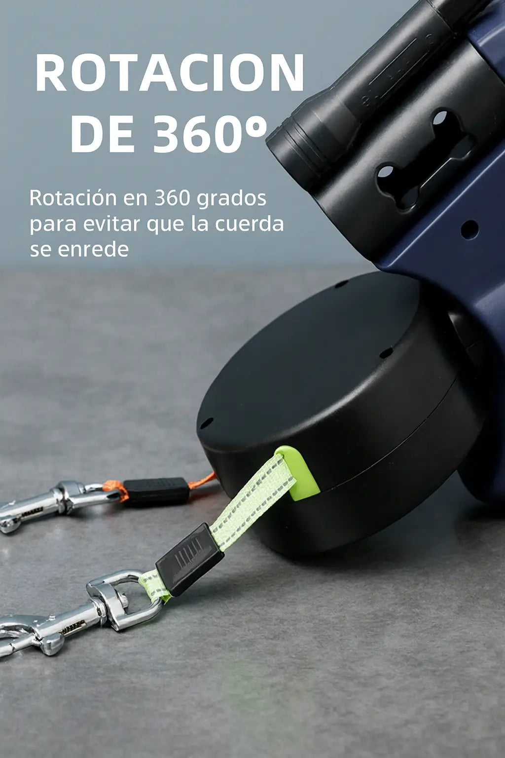 Encabezado