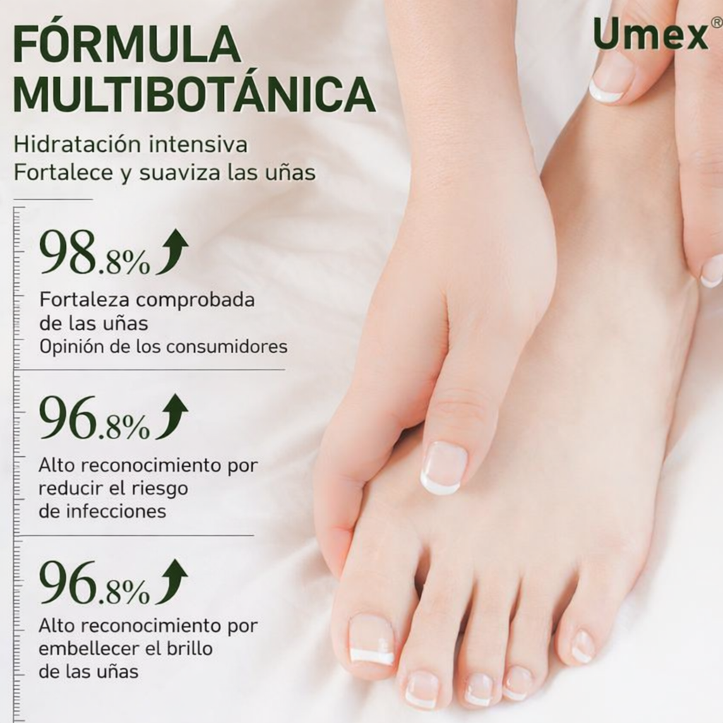 Encabezado