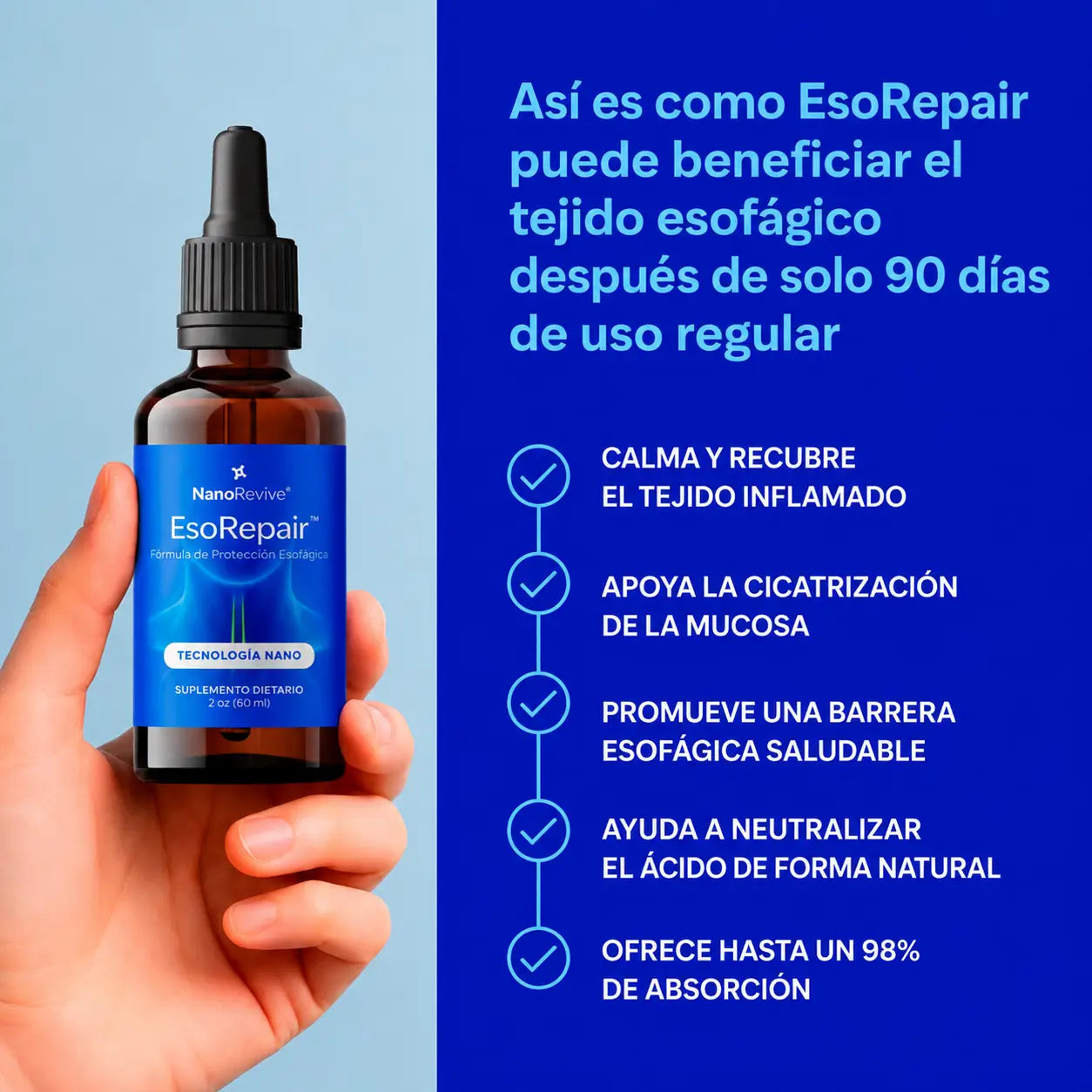 Encabezado