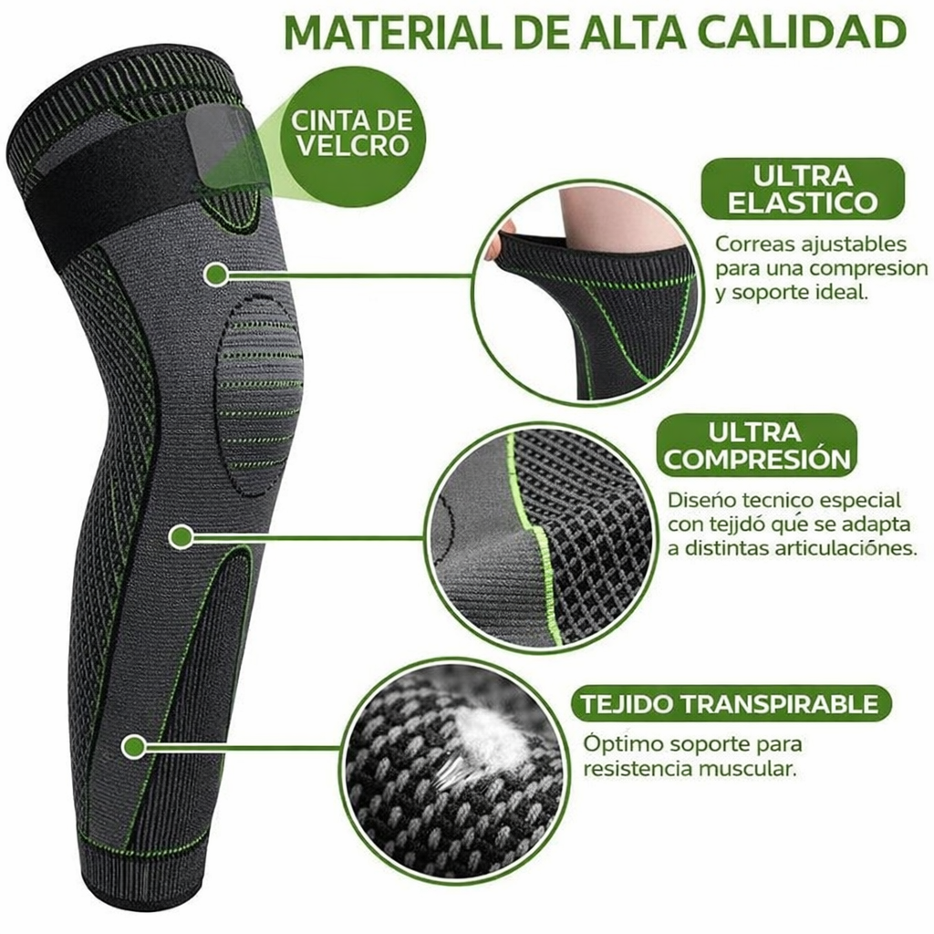 Encabezado