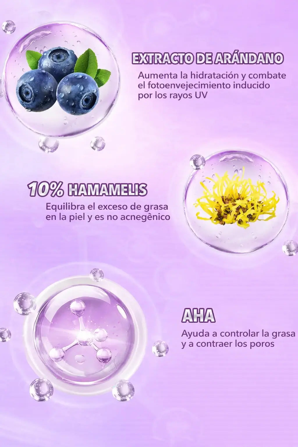 Encabezado