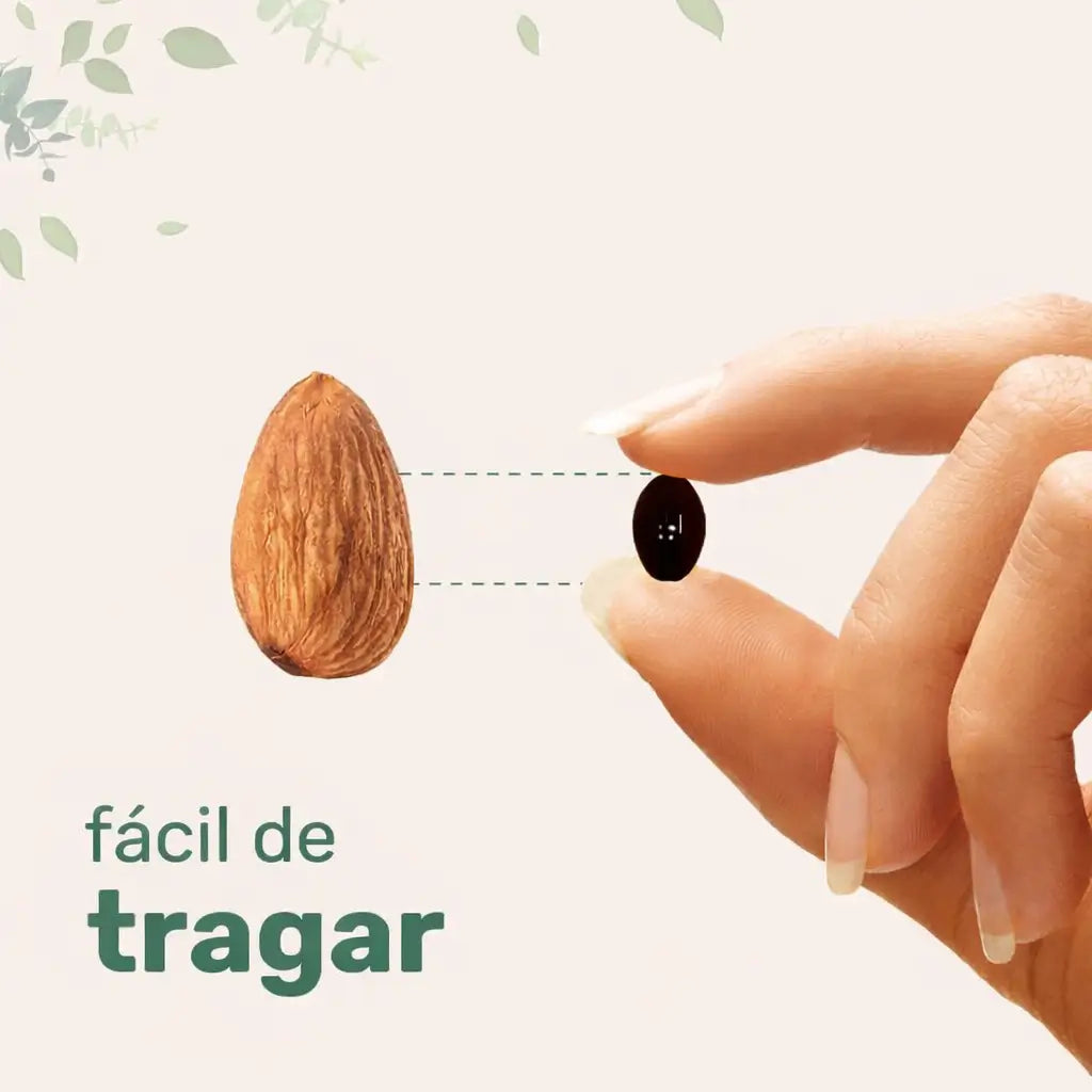 Encabezado