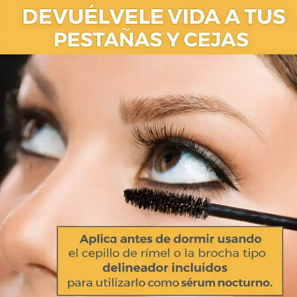 Encabezado
