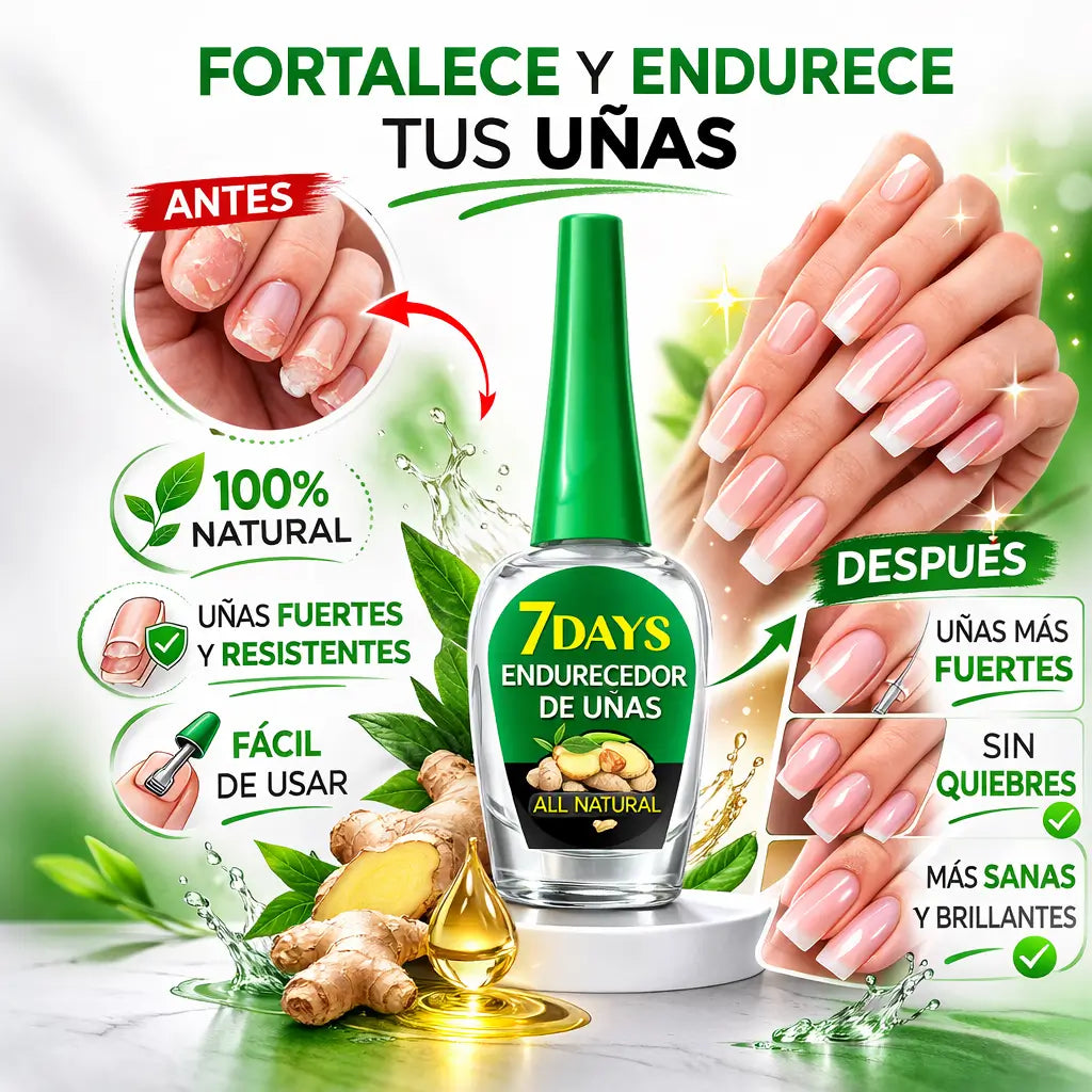 Encabezado