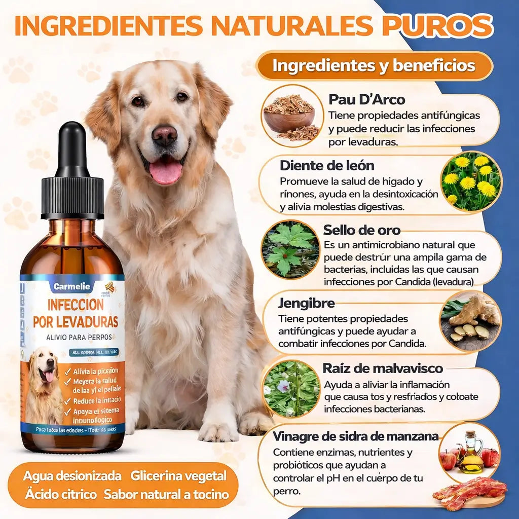 Yeast Infection Relief For Dogs