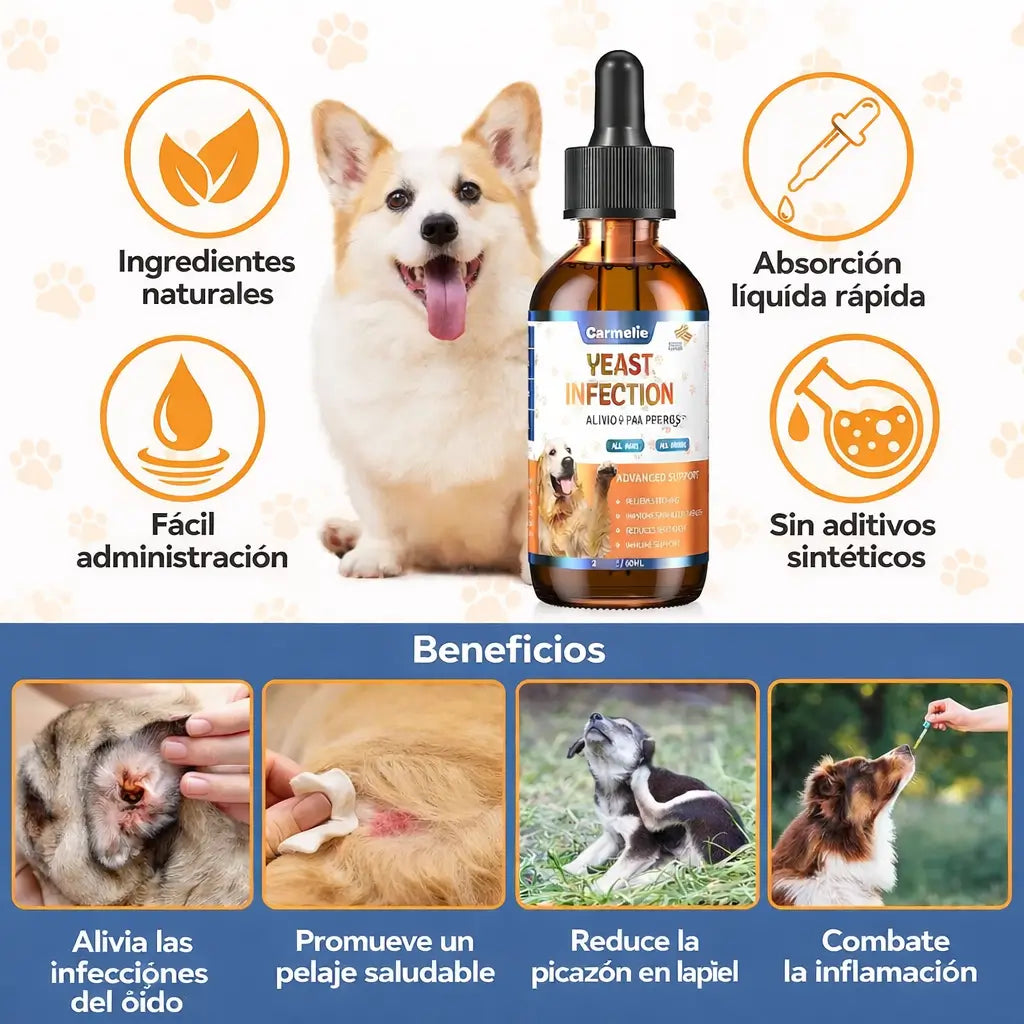 Yeast Infection Relief For Dogs