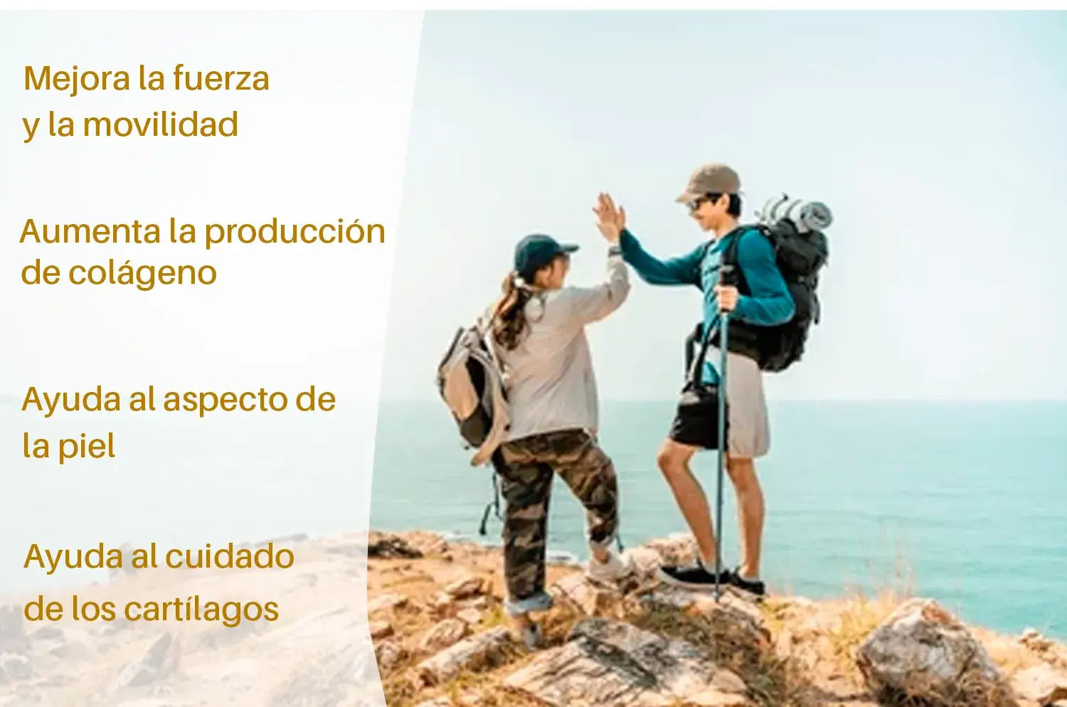 Encabezado