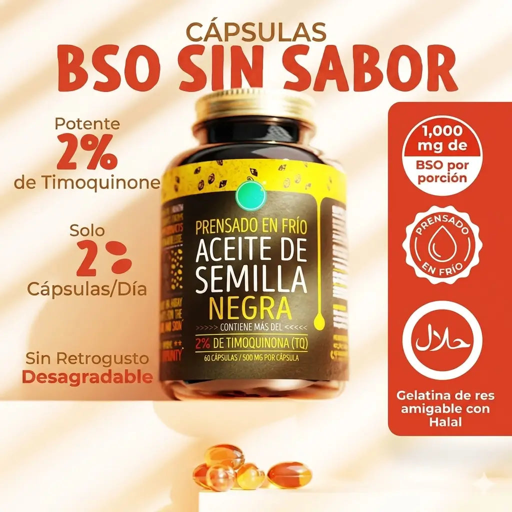 Encabezado