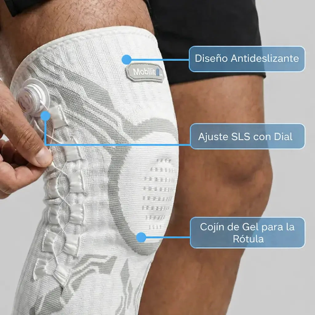 Encabezado