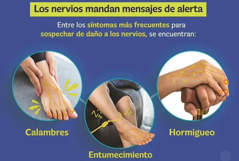 Encabezado