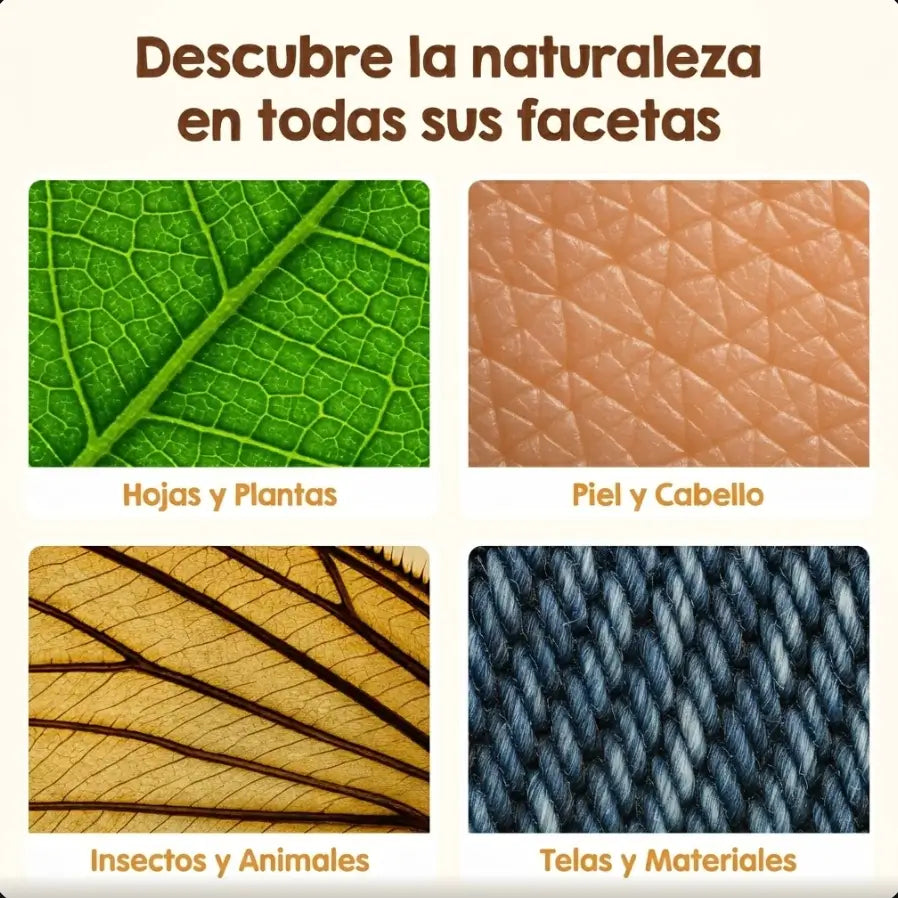 Encabezado