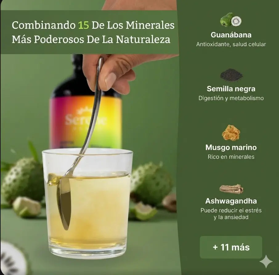 Encabezado