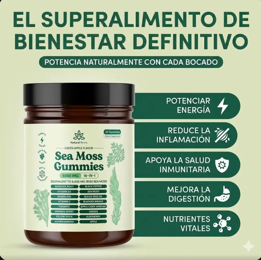 Encabezado