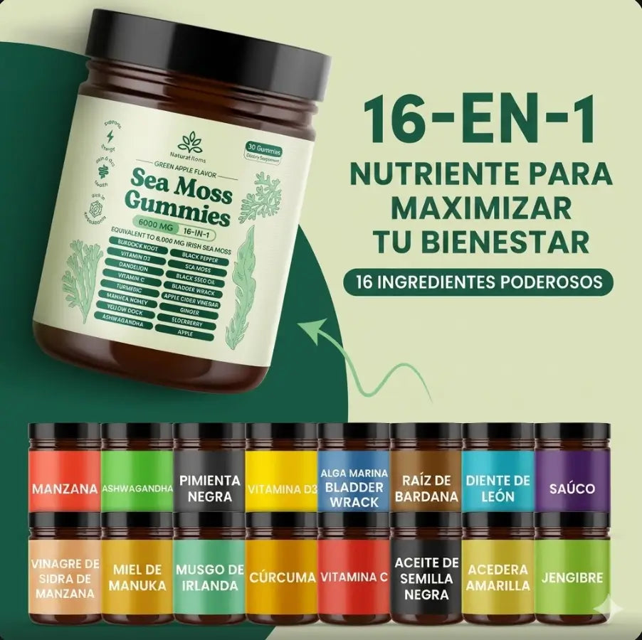 Encabezado