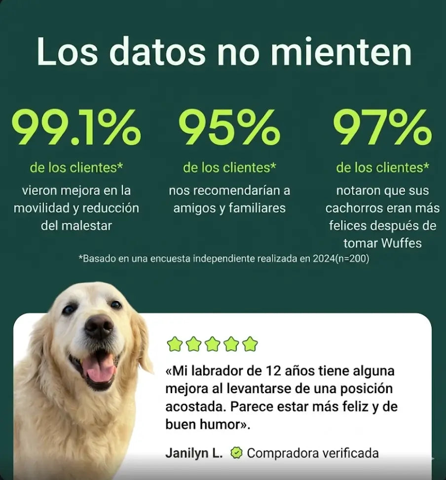 Encabezado