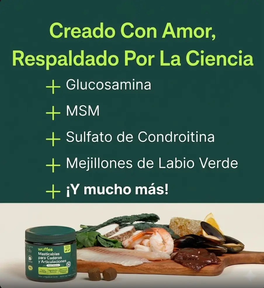 Encabezado