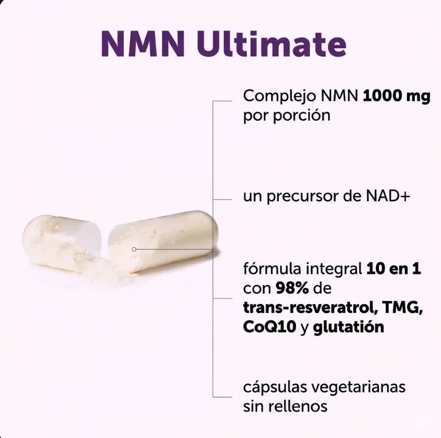 Encabezado